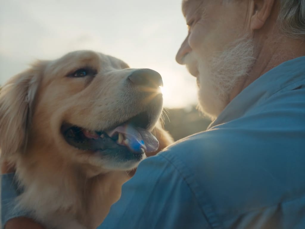 Nutriss - Dog Lovers