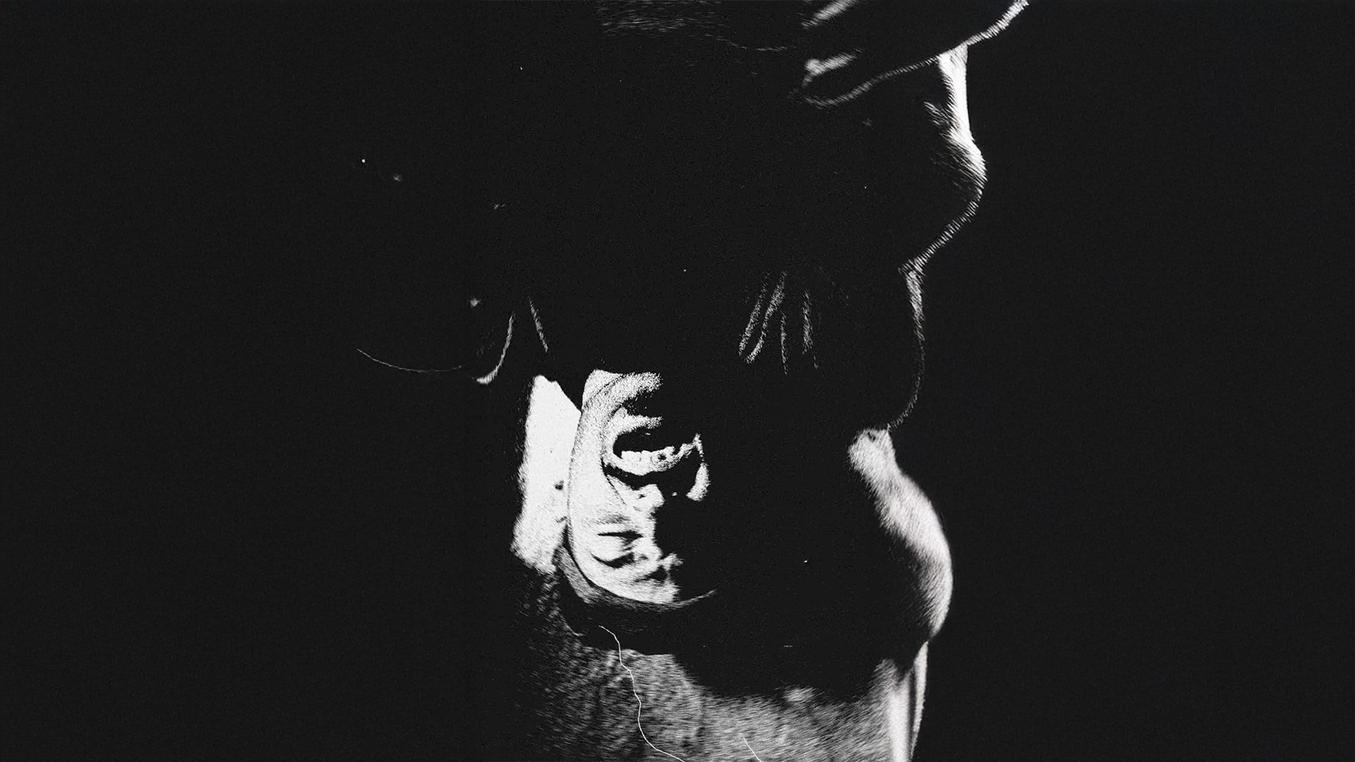 Still_GOGO_06.Edit